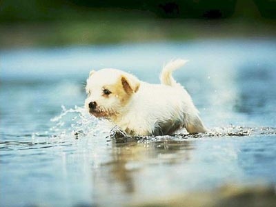 L'eau ça mouille !