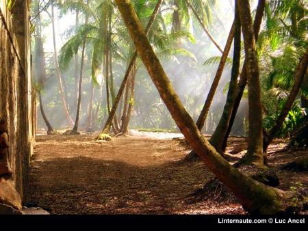 Trop beau !!