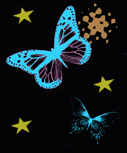 butterfly