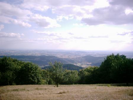 Trop beau !