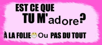 Oui ou non ?